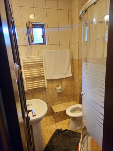 a small bathroom with a toilet and a sink at Pensiunea Zece Brazi Cheia in Măneciu