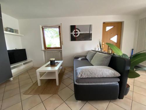 a living room with a couch and a tv at Apartment Bärenfelsblick in Wehr