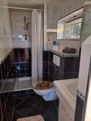 uma casa de banho com um chuveiro, um WC e um lavatório. em LACUSTRA em Chindrieux