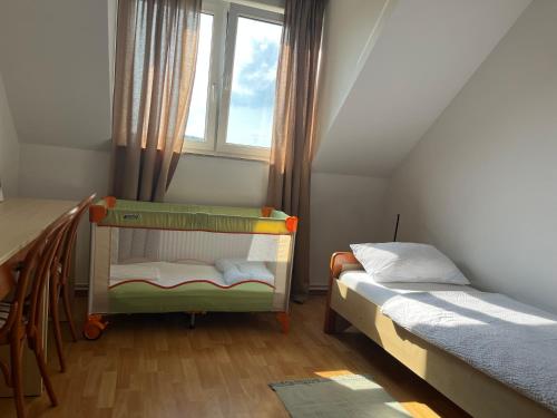 a small room with two beds and a window at Karla’s House in Dobje pri Planini