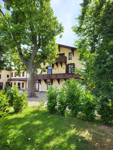 un bâtiment avec un arbre au milieu d'une cour dans l'établissement Villa Musik - Historical apartments in Baden, à Baden