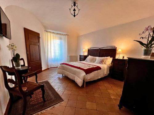 een grote slaapkamer met een bed en een stoel bij Alma BnB in Santa Fiora