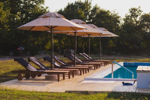 a row of chairs and umbrellas next to a pool at KOKO VILLAGE in Podgorica