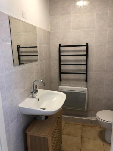 une salle de bain avec un lavabo et des toilettes dans l'établissement Agreable studio début Cap Corse proche Bastia, à San-Martino-di-Lota