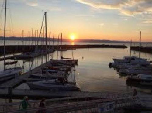 a group of boats docked in a marina at sunset at Logement au Cœur du Village in Saint-Jean-Port-Joli