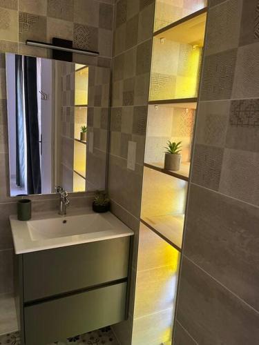 a bathroom with a sink and a mirror at Bel appartement à Perpignan in Perpignan