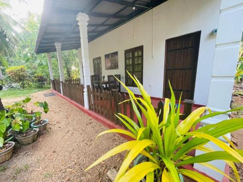 a house with a porch with plants in the yard at Lake Island Home Stay in Dambulla