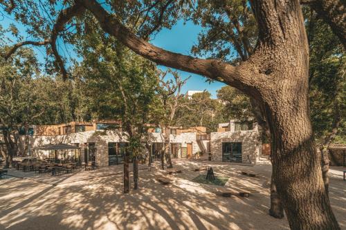 a group of trees in front of a building at Casacon Sirolo in Sirolo