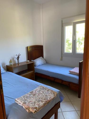 1 dormitorio con 2 camas y ventana en Strati's beach house en Lakkíon