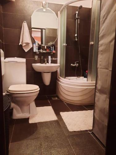 a bathroom with a toilet and a sink and a shower at Apartament cu parcare privata in Arad