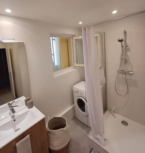 une salle de bain avec un lavabo et une machine à laver dans l'établissement Grand appartement 2 chambres Calme Parking, à Annecy