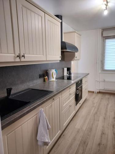 une cuisine avec des armoires blanches et un plancher en bois dans l'établissement Grand appartement 2 chambres Calme Parking, à Annecy