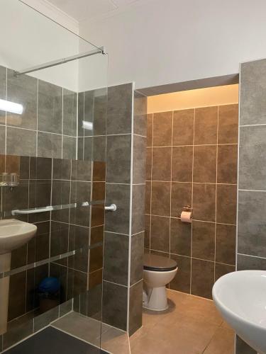 une salle de bain avec une douche, des toilettes et un lavabo dans l'établissement Le Relais de la RN7, à Châteauneuf-du-Rhône