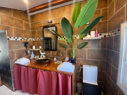 Fotografia z galérie ubytovania Nid du merle avec sauna et jacuzzi privatif v destinácii Septfonds