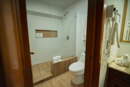 a bathroom with a toilet and a shower at Hotel Santiago De Compostela - Guadalajara Centro Historico in Guadalajara