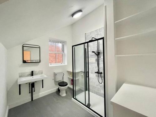 皇家滕布里奇韋爾斯的住宿－A perfectly located bright, modern ,Victorian flat，带淋浴、卫生间和盥洗盆的浴室