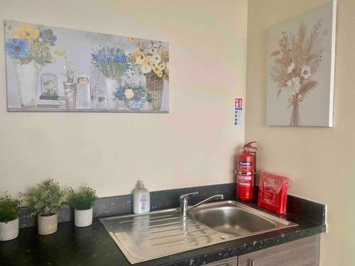 a kitchen counter with a sink and flowers on the wall at Cozy Haven: Charming Retreat in Manchester