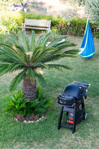 a grill sitting in the grass next to a palm tree at To Pyrgaki Kos in Kos Town