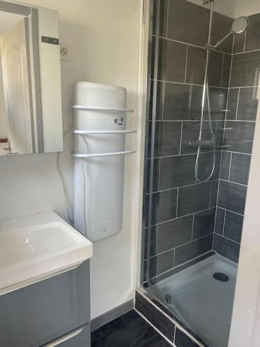 La petite salle de bains est pourvue d'une douche et d'un lavabo. dans l'établissement Charmant appartement avec parking privée, à Buxerolles