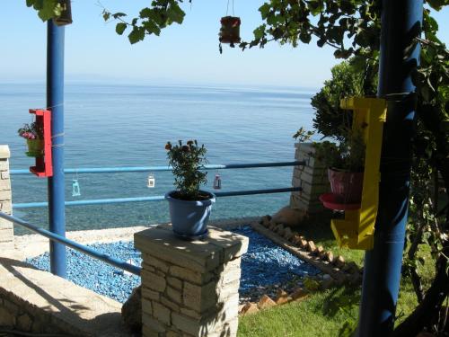 a view of the ocean from a house with a potted plant at Alkioni Studios in Karlovasi