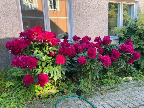 Ein Garten an der Unterkunft Idyllic Suite in the Heart of Tammisaari