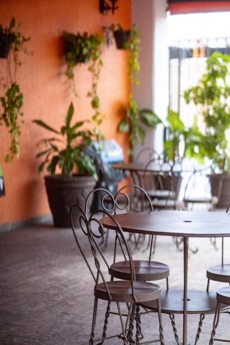 a table and chairs in a room with potted plants at Hotel Santiago De Compostela - Guadalajara Centro Historico in Guadalajara