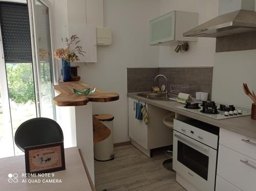 une cuisine avec un évier et une cuisinière four supérieur dans l'établissement Quietude, à Périgueux