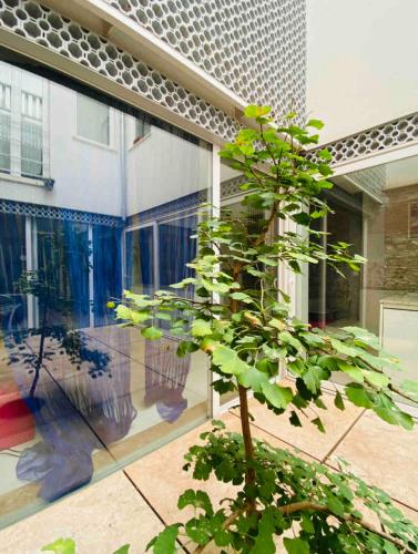 DUPLEX-LOFT en Granada
