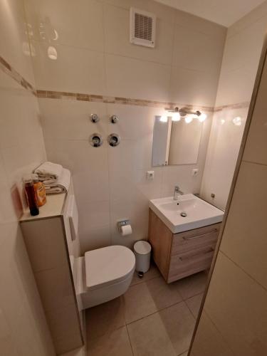 ein kleines Bad mit WC und Waschbecken in der Unterkunft East Park Apartments Baumkirchner Str 18 in München