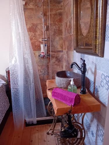 y baño con lavabo y ducha. en Casita con encanto tranquilidad VILLAVIEJA DEL LOZOYA Wi-Fi No fumador EN SIERRA DE MADRID Y A 40 M DE CAPITAL, en Villavieja del Lozoya