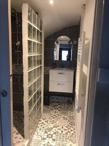 une salle de bain avec une douche, un lavabo et un miroir dans l'établissement Bienvenue à Evian, à Neuvecelle