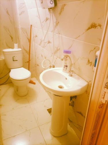 a bathroom with a sink and a toilet at Alkan mozayik otel in Urfa