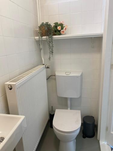 La salle de bains blanche est pourvue de toilettes et d'un lavabo. dans l'établissement Free Fly Loft Drachten, à Drachten