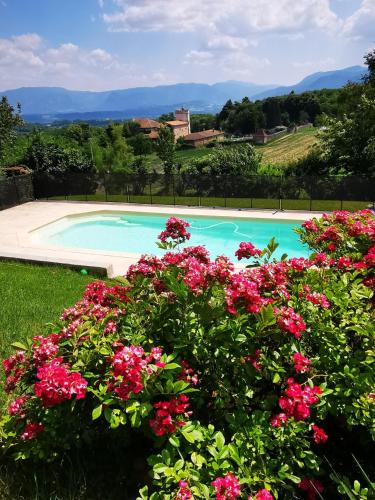 - une piscine avec des fleurs roses en face dans l'établissement Maison 5 chambres avec vue sur le Vercors, à Saint-Bonnet-de-Chavagne