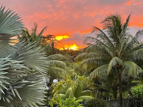 a sunset with palm trees in front of a sunset at Villa - Le Diamant d'Aude - à 200 m de la plage in Le Diamant