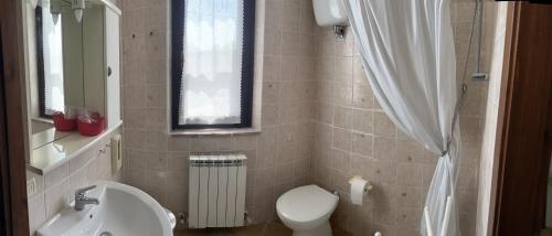 uma casa de banho com um WC branco e um lavatório. em Agriturismo Il Geranio em Piccione