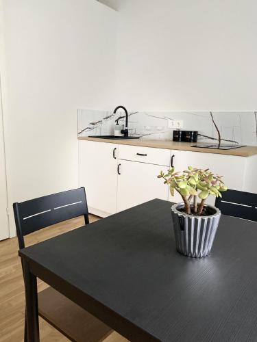 a kitchen with a black table with a potted plant on it at Petro Apartamentai in Kačerginė