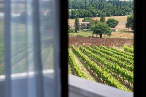 La collina degli Olivi – Photos 5
