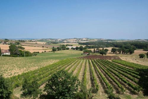 La collina degli Olivi – Photos 4