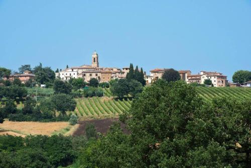 La collina degli Olivi – Photos 3