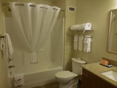 a bathroom with a shower and a toilet and a sink at Ledgestone Hotel Billings in Billings