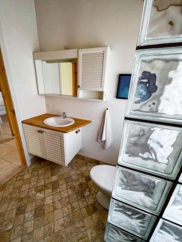 een kleine badkamer met een toilet en een wastafel bij Hyggeligt anneks på Thurø, tæt på vandet. in Svendborg