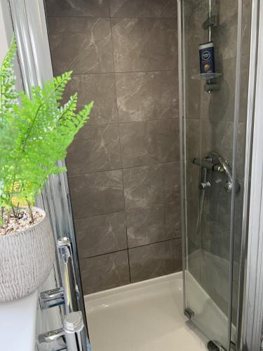 a shower in a bathroom with a plant next to it at Deluxe En-Suite Bedroom In the Centre of Watford in Watford