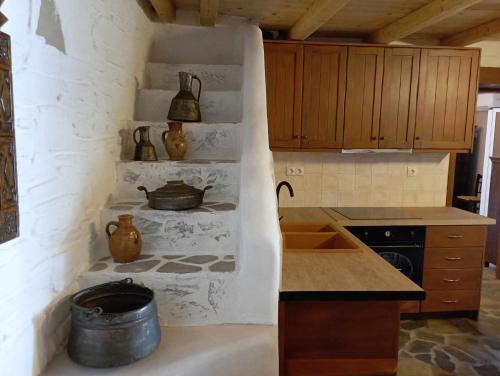 a kitchen with a sink and a pot on the counter at Villa Art Natalie in Kithnos