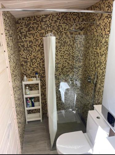 a bathroom with a shower with a toilet and a sink at Obuoliu Sala COZY HOUSE on the Apple Island in Gaylyunay