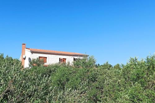 a house on top of a hill with bushes at Active holiday in nature on agritourism! Make wine or olive oil!!! in Posedarje