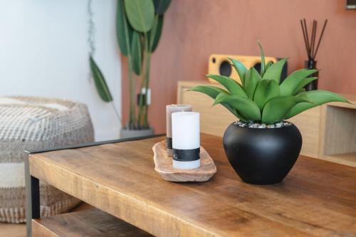 a table with a candle and a potted plant on it at Exceptionnel ! Appart luxueux à 8 min à pied du lagon in La Saline les Bains