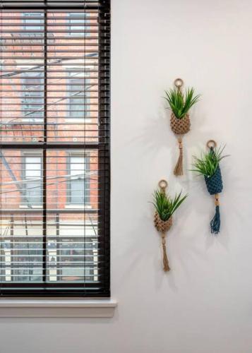 two pineapple plants on a wall next to a window at WALK TO ALL in Over The Rhine Cincinnati in Cincinnati