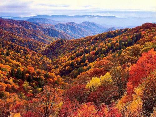 Un paisaje natural cerca de la casa vacacional