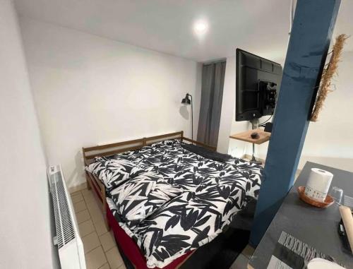 1 dormitorio con 1 cama y TV de pantalla plana en Charmant studio avec terrasse en Château-lʼÉvêque